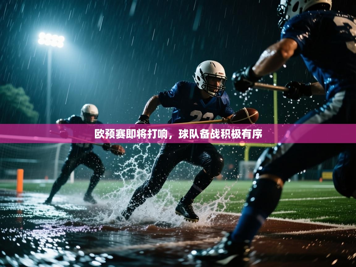 欧预赛即将打响，球队备战积极有序  第2张