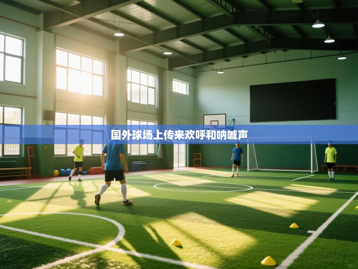 国外球场上传来欢呼和呐喊声  第1张