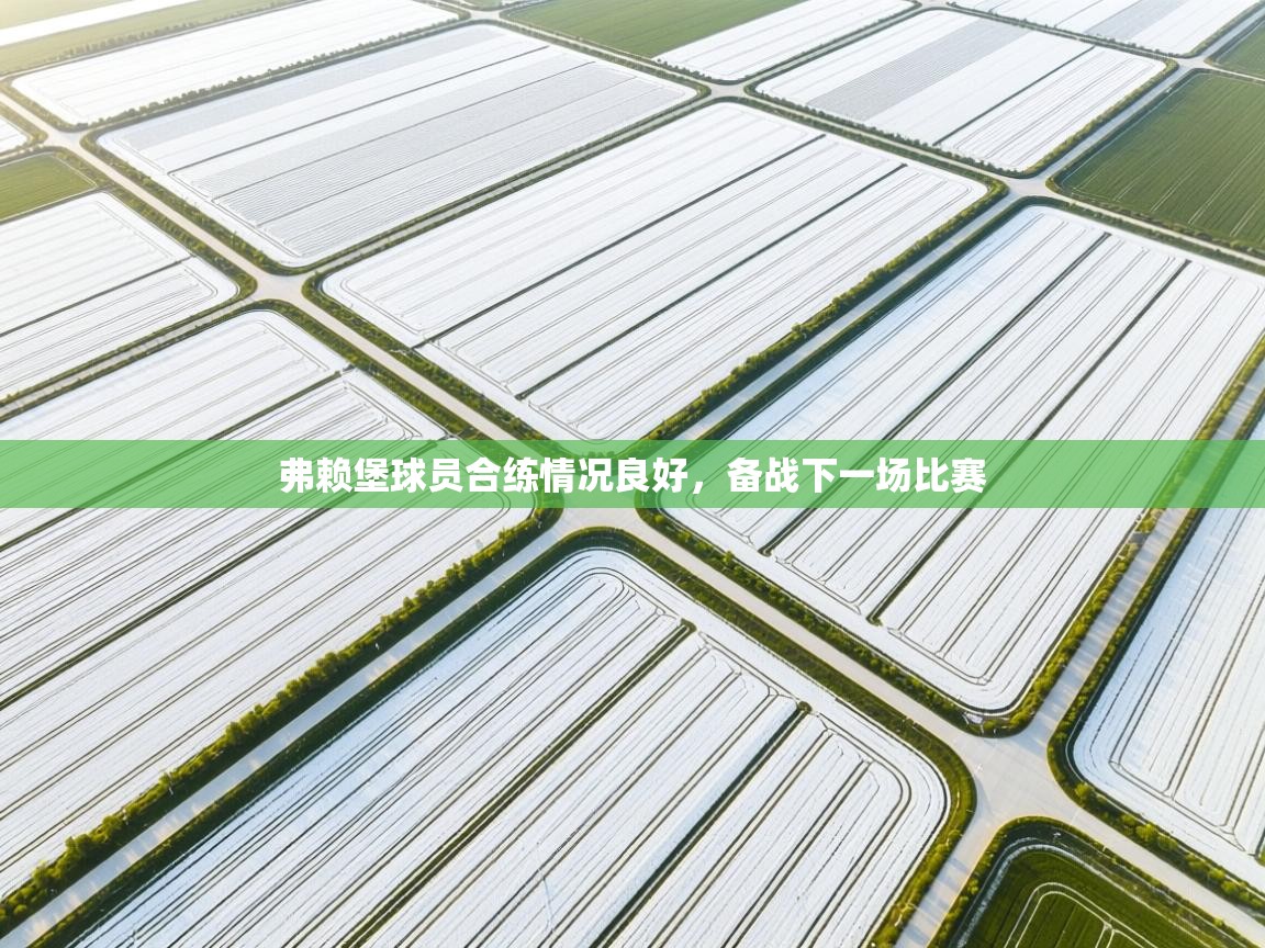 弗赖堡球员合练情况良好，备战下一场比赛  第1张
