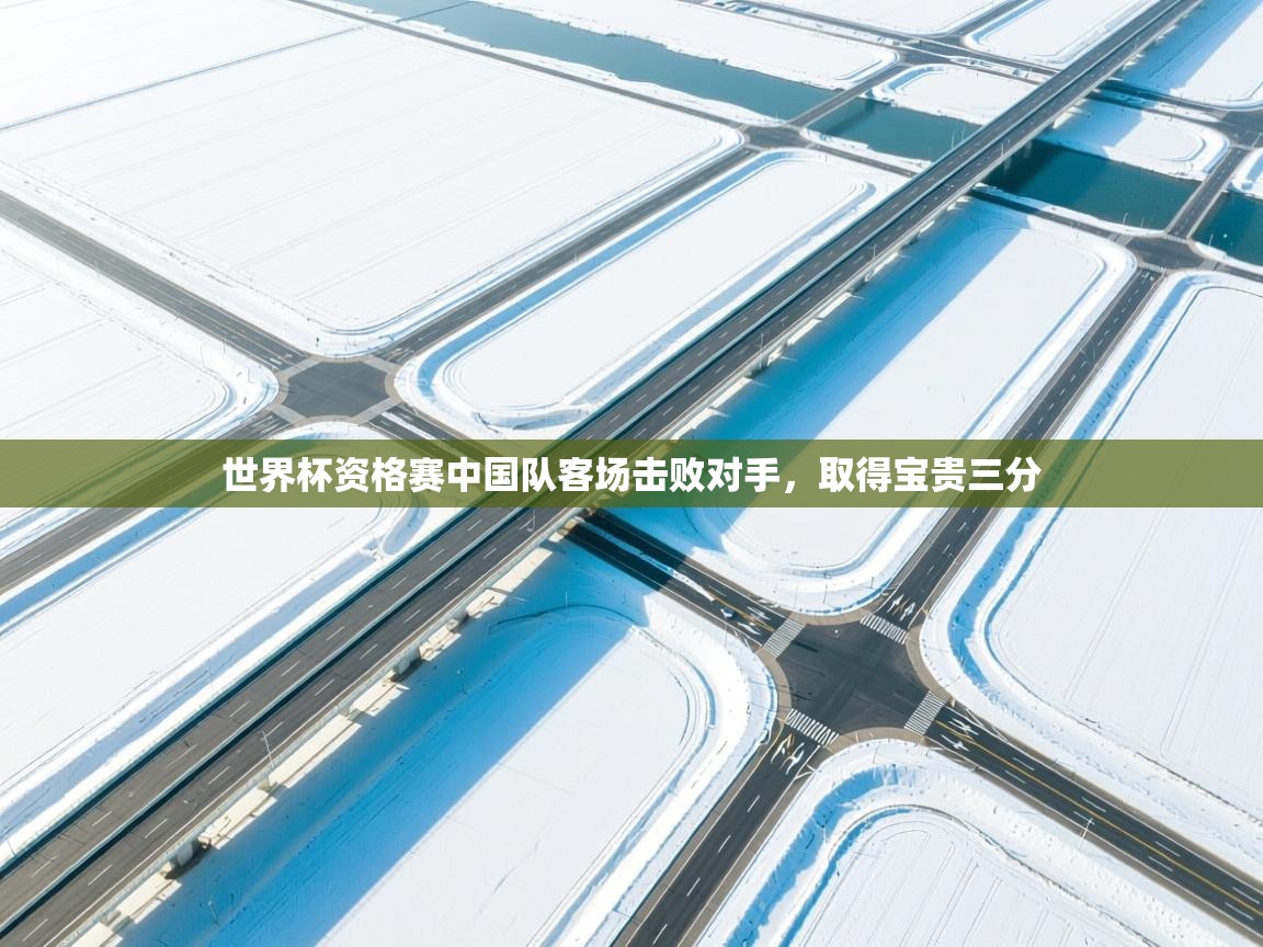 世界杯资格赛中国队客场击败对手，取得宝贵三分  第1张