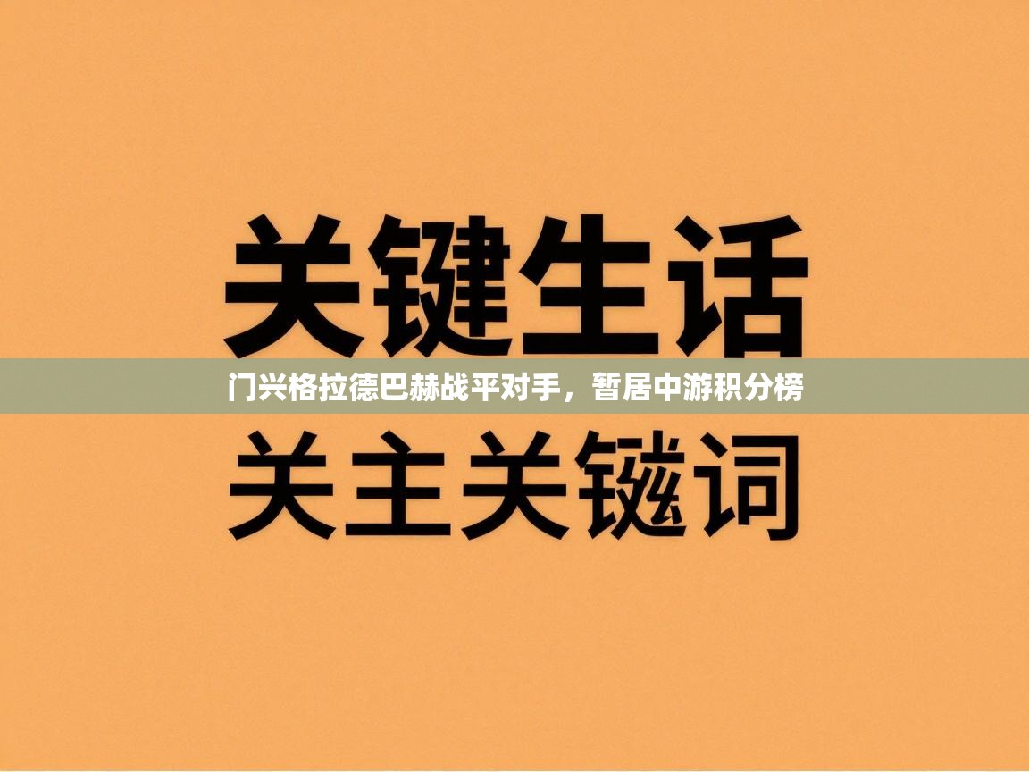 门兴格拉德巴赫战平对手,暂居中游积分榜 第2张